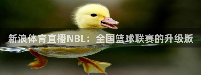 ag街机游戏