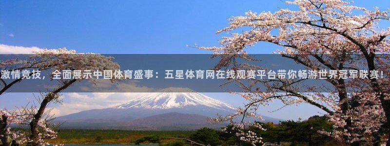 ag官方入口试玩